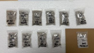 Photo of 依城警方捕2涉嫌贩毒男 起获6.9万毒品及赃物