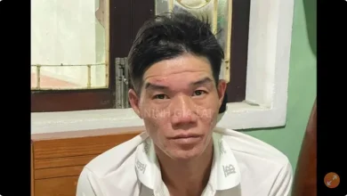 Photo of 逾5200只狗半夜被偷 警揭被盗狗狗下场