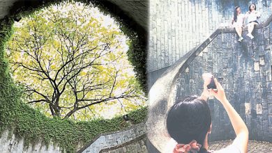 Photo of 【好吃好玩】从不同角度 欣赏新加坡的美