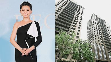 Photo of 大S离世1年 豪宅未过户恐充公