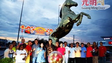 Photo of 6304片不锈钢镀锌板打造 6米金马耀爪夷