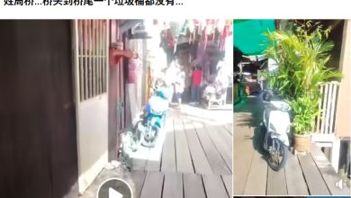 Photo of 姓周桥游客涌入乱丢垃圾 居民怒批: 家门口变垃圾桶