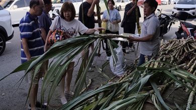 Photo of 拜天公大过年 民众抱甘蔗回家谢天恩
