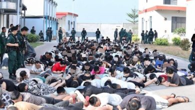 Photo of 涉22栋建筑！柬埔寨警方清剿大型电骗园区 逾2000人落网