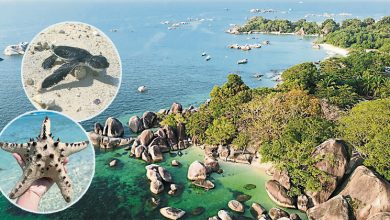 Photo of 【自游自在】每一座岛都有自己的风景