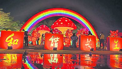 Photo of 有福气马车 彩虹拱门蘑菇 新马寺花灯展亮灯