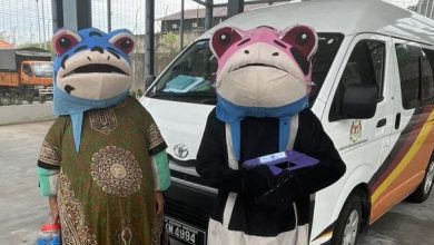 Photo of 3人穿青蛙恐龙服在交通灯前行乞 福利局接投报速取缔捕3人助查