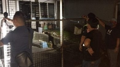 Photo of 住家铁花开着揭命案 86岁华男倒毙厨房