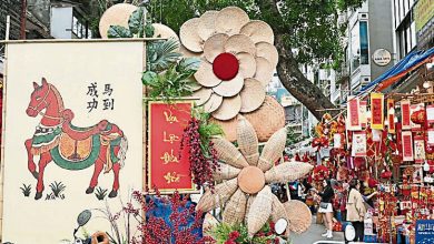 Photo of 河内热闹迎新春