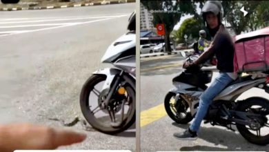 Photo of 陪骑士送餐兜风？ “连蛇都搭顺风车！”