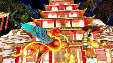 Photo of 敦煌主题灯气势磅礴 东禅寺14日起光影盛宴