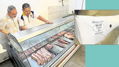 Photo of 邱培栋挺进口猪肉 稳定猪价遏止走私