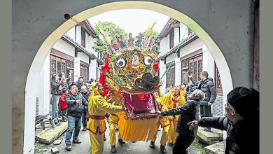 Photo of 板凳龙迎新春