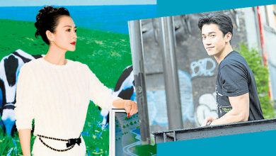 Photo of 《游过海岸100米》章子怡开拍前紧急拆雷 吴慷仁政治因素Out
