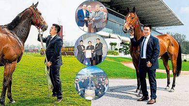 Photo of 【再世伯乐 四之一】锺汉洋听懂马语 与马对话 无悔伴马一生