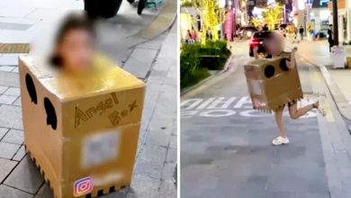 Photo of 曾當街猥亵 韩“纸箱女”再涉毒判刑