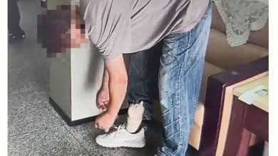 Photo of 2活猫塞腿又塞裆 台男走私波斯猫当场被抓