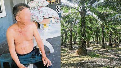 Photo of 假藉问路劫承包商  2“迷路”男抢车掠财