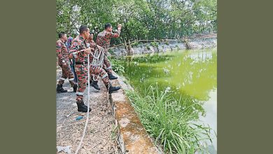Photo of 男童溺毙污水处理厂已停用 英达丽水称非运营范围