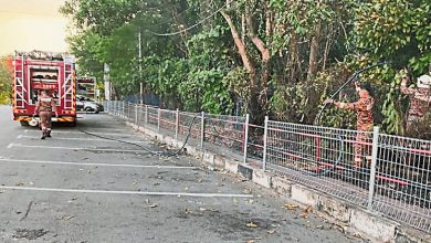 Photo of 马口万顺购物中心对面 停车场毗邻草丛失火