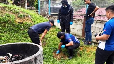 Photo of 17周胎儿埋果园 女子背痛求医 揭网购药堕胎