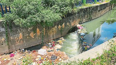 Photo of 酵素净化水源见效 芙蓉公市污水变清澈