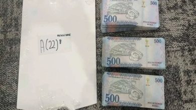 Photo of 孟男行李藏巨款 海关截获241万