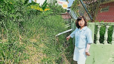 Photo of 清真寺篱笆外杂草丛生 谢秀接投诉后安排处理
