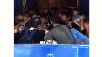Photo of 奥地利警扫蛇行动 130人被捕