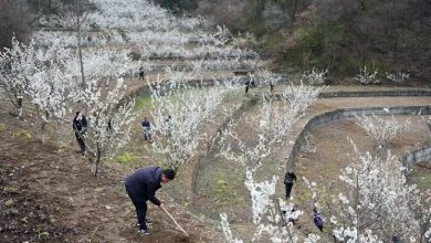Photo of 中国人大代表建议 农民养老金应大幅提升