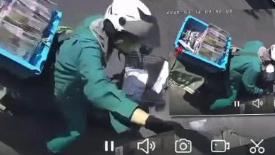 Photo of 难以置信！信件投进信箱 竟自飞回邮差篮