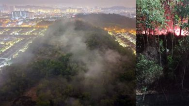 Photo of 雪州本查加里尔山林大火 37英亩烧毁终扑灭