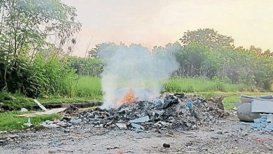Photo of 高温来袭天干地燥  莱斯雅欣促勿公开焚烧