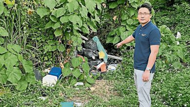 Photo of 垃圾乱丢 清理也没用 后巷草丛脏乱差