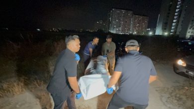 Photo of 五条路海边惊现男尸 头遭钝器重击 现场留带血石块木棍