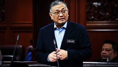 Photo of 囯会〡不強制使用 MyNIISe今年第2季全国开跑 保留传统入境通关