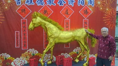 Photo of 耗时3月精心打造 吉礁济阳阁6尺金马 入驻“济世观”