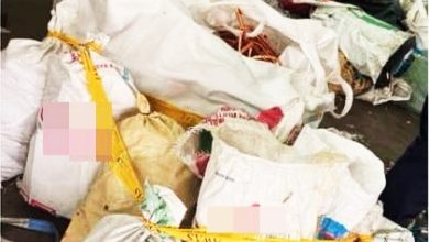 Photo of 4单位联手执法 捣大山脚违法废料厂