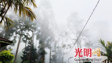 Photo of 28日起开放吉普车服务 欢迎来拉律山旅游过夜