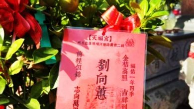 Photo of 返马过年?巴生蛇庙现“刘德华”祈福灯