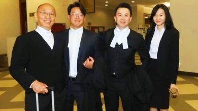 Photo of 林梧桐女儿遗嘱纠纷案 高庭驳回2女儿删除证据申请