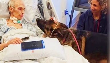 Photo of 【视频】临终前见爱犬最后一面 绝症男完成心愿 医护全泪崩
