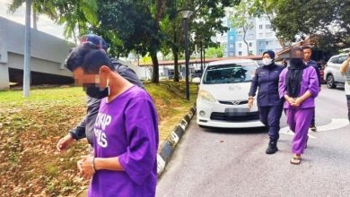 Photo of 延扣查土地诈骗及假拿督案 女演员夫妇再涉卖牛骗局