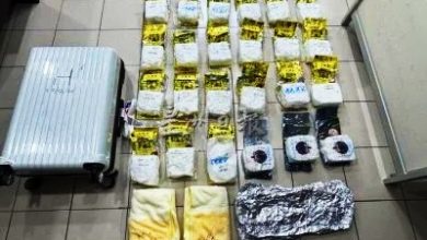 Photo of 24公斤冰毒伪装茶叶山竹 砂关税局破78万元毒品走私案