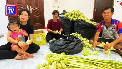 Photo of 华裔家庭精通编织马来粽 开斋节订单接不完