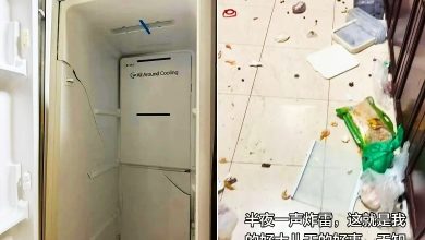 Photo of 14岁少年把乾冰放冷冻库 2小时后爆炸冰箱全毁