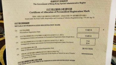 Photo of “114514”成交引热议 网笑：全香港最臭车牌
