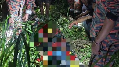Photo of 爸爸森林狩猎被指坠树身亡 警揭枪伤扣同行男子