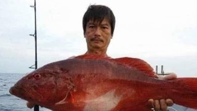 Photo of 与儿同游天鹅岛 男子潜水后失联