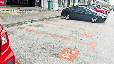 Photo of 巴生2小时泊车限制为难 马青轰市厅缺民意基础